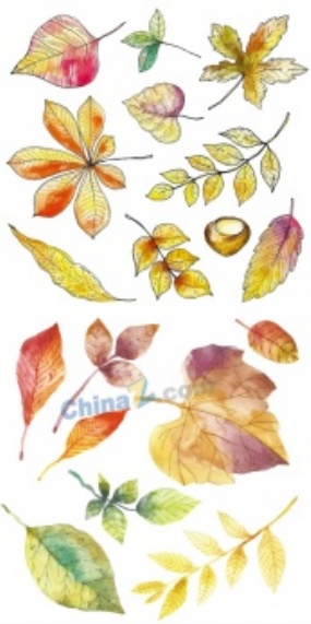 手绘植物树叶矢量下载